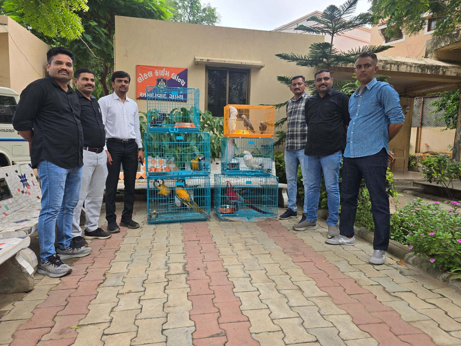 જુહાપુરાની પેટ શોપમાંથી દુર્લભ પક્ષીઓ ચોરનાર આરોપીની ધરપકડ