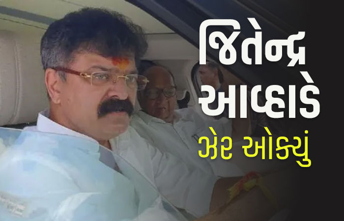 'સનાતન ધર્મે તો દેશ બરબાદ કરી નાખ્યો...' શરદ પવારની પાર્ટીના ધારાસભ્યના નિવેદનથી હોબાળો