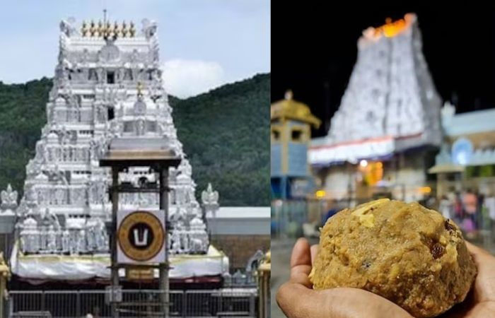મંદિરના પ્રસાદમાં કોણે ચરબી ભેળવી? વિવાદ વધતાં આરોપી મુખ્યમંત્રીની પાર્ટી પહોંચી હાઈકોર્ટ