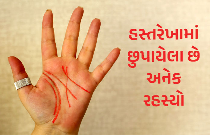 ધનિકોની હથેળીમાં હોય છે આ ભાગ્યરેખા! દિન દૂગની રાત ચોગુની પ્રગતિ કરે છે આવા લોકો
