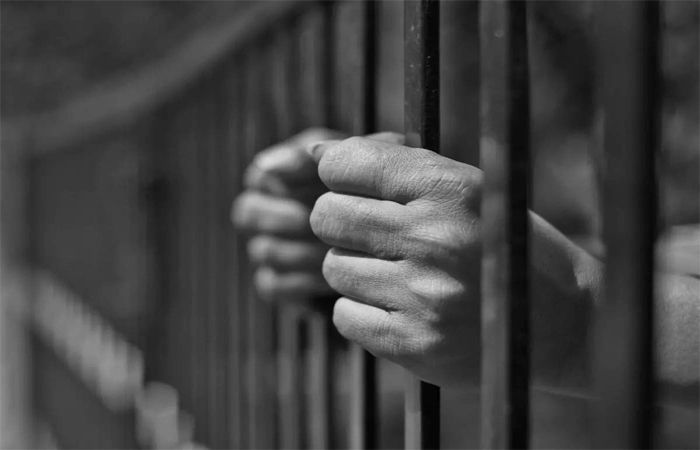 Fake government job scam: Accused, including lawyers, sent to jail