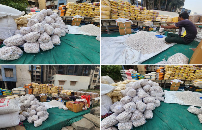 ધાણી-ચણા ખાવાની પરંપરા જીવંત હોવાથી અનેક નાના વેપારીઓને મળે છે રોજીરોટી