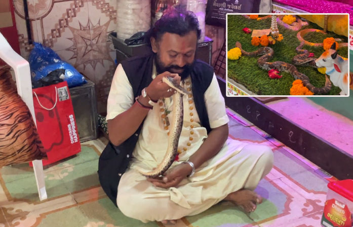 રાજકોટમાં ખેતલાઆપા મંદિરમાંથી 52 સાપ મળતાં ખળભળાટ!, ફોરેસ્ટ વિભાગે મહંતની કરી ધરપકડ