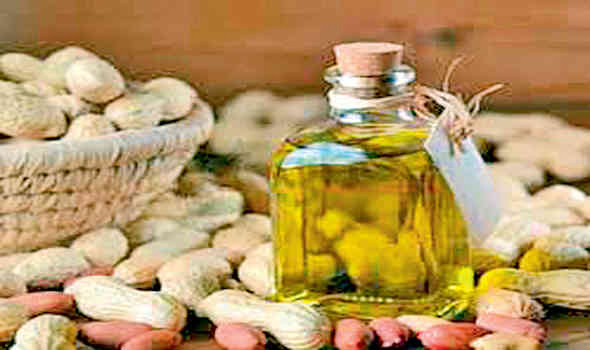 સિંગતેલમાં ઝડપી ઉછાળો: ચીનની માગ વધ્યાના નિર્દેશો: સૌરાષ્ટ્રના તેલ બજારો ઉંચકાયા
