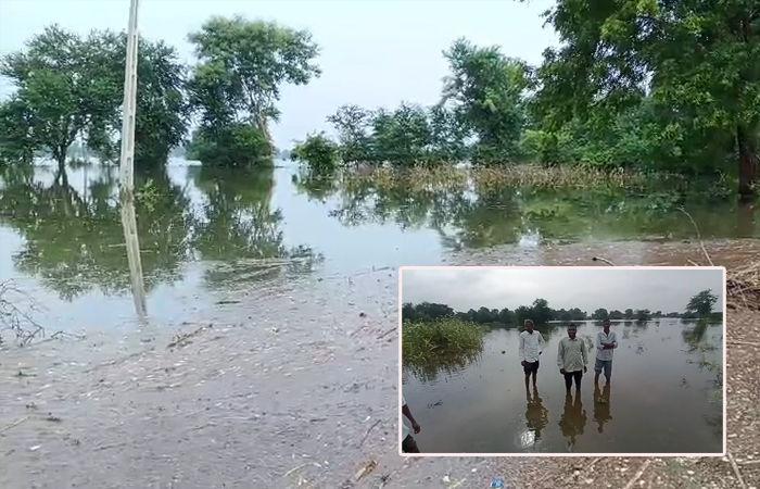 પંચમહાલ જિલ્લામાં જળાશયો છલકાયા: કડાણા ડેમમાંથી પાણી છોડાતા ખેતરો જળમગ્ન, પાકને ભારે નુકસાન