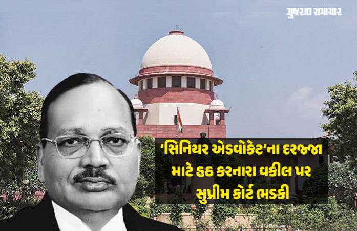 બેરોજગાર યુવાનો ‘વંદા’ જેવા છે, જે મીડિયા કે એક્ટિવિસ્ટ બનીને સિસ્ટમ પર હુમલા કરે છેઃ CJI સૂર્ય કાંત