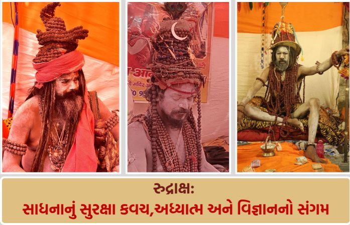 શિવના અશ્રુમાંથી જન્મેલા 'રુદ્રાક્ષ'નું રહસ્ય: સાધુઓ માટે માત્ર આભૂષણ નહીં, રક્ષણાત્મક કવચ છે આ મણકા