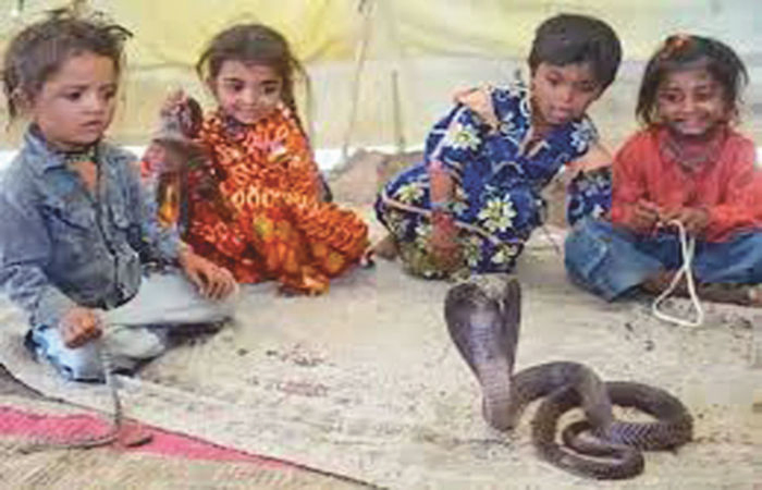 આપના નેતા જેલમાં, સાપના મિત્રો ગેલમાં