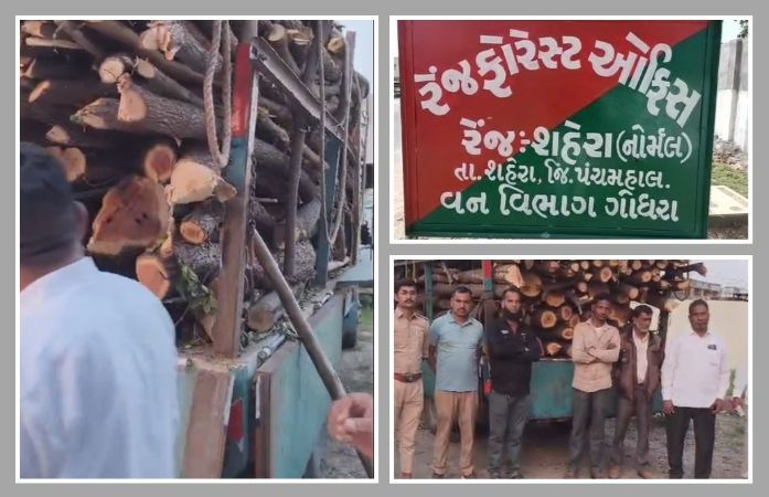 શહેરા નજીક ગેરકાયદે ખેરના લાકડાની હેરાફેરી ઝડપાઈ, લાખોનો મુદ્દામાલ જપ્ત