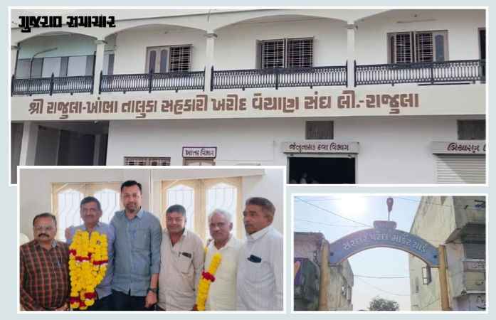 અમરેલી: રાજુલા માર્કેટિંગ યાર્ડના ચેરમેન તરીકે રાજુભાઈ પરસાણા અને વાઈસ ચેરમેન પદે પીઠાભાઈ નકુમની વરણી