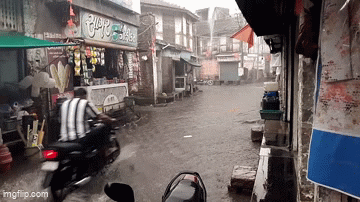 avi659.gif