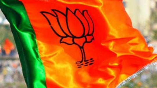વડોદરા જિ.પંચાયતની સાત સમિતિના અધ્યક્ષોની દસ દિવસમાં વરણી થશે