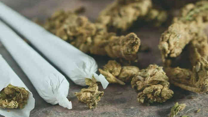 Ganja smuggling racket using motorcycles busted in Gandhinagar, 2 arrested