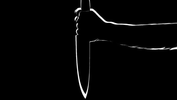Man stabbed to death in Mumbai local train after argument over closing door