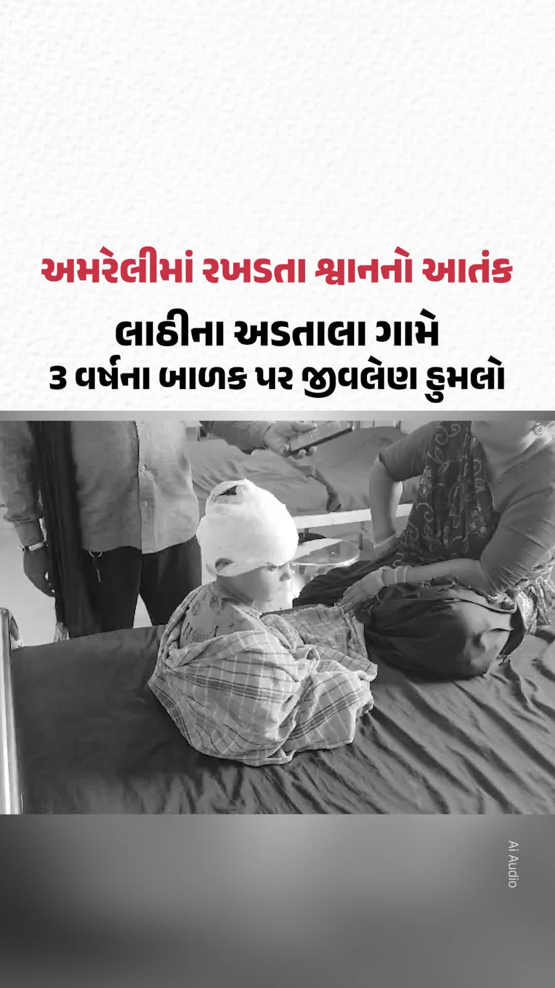 Amreliમાં રખડતા શ્વાનનો આતંક! લાઠીના અડતાલા ગામે 3 વર્ષના બાળક પર જીવલેણ હુમલો Amreliમાં રખડતા શ્વાનનો આતંક! લાઠીના અડતાલા ગામે 3 વર્ષના બાળક પર જીવલેણ હુમલો