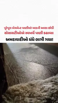Ahmedabad Rain: વરસાદ અને તંત્રે અમદાવાદીઓને ધંધે લગાડ્યા! વાહનવ્યવહાર ઠપ, માલમિલકતને ભારે નુકસાન Ahmedabad Rain: વરસાદ અને તંત્રે અમદાવાદીઓને ધંધે લગાડ્યા! વાહનવ્યવહાર ઠપ, માલમિલકતને ભારે નુકસાન