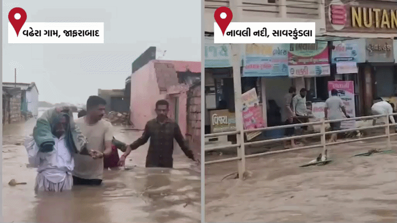 અમરેલીમાં અનરાધાર! નાવલી નદી ગાંડીતૂર બની, ધારીમાં શેત્રુજી નદીના વહેણમાં ખેડૂત તણાતા મોત