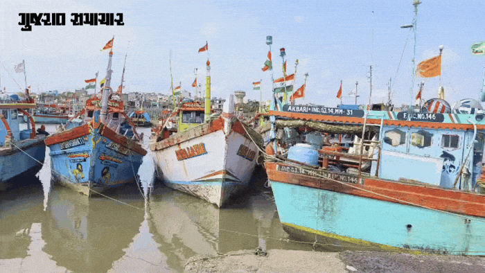 GujaratSamachar84-ezgif.com-optimize.gif
