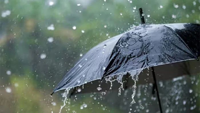Heavy Rain Pounds Saurashtra, North Gujarat; Wankaner Records Over 3 Inches in Two Hours