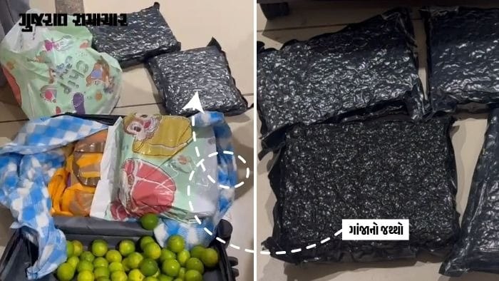 અમદાવાદ એરપોર્ટ પર ₹5.3 કરોડનો ગાંજો ઝડપાયો