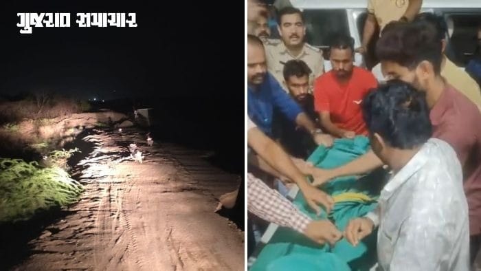 ગેરકાયદેસર સિંહ દર્શન કરવા ગયેલા યુવકને સિંહ-સિંહણે ફાડી ખાધો