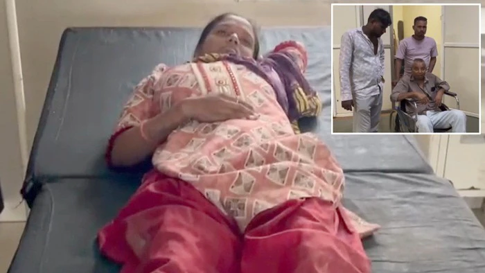 Stray Dog Menace in Amreli: Three People Bitten in Liliya, Residents Raise Safety Concerns