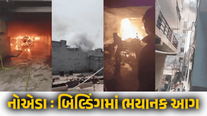VIDEO : નોએડામાં બિલ્ડિંગમાં ભયાનક આગ, બેના મોત, વાહન ચાર્જિંગ વખતે બની ઘટના, 100ને બચાવાયા
