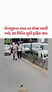 બેંગલુરુના રસ્તા પર કોબ્રા આવી ગયો, 30 મિનિટ સુધી ટ્રાફિક જામ | Gujarat Samachar બેંગલુરુના રસ્તા પર કોબ્રા આવી ગયો, 30 મિનિટ સુધી ટ્રાફિક જામ | Gujarat Samachar