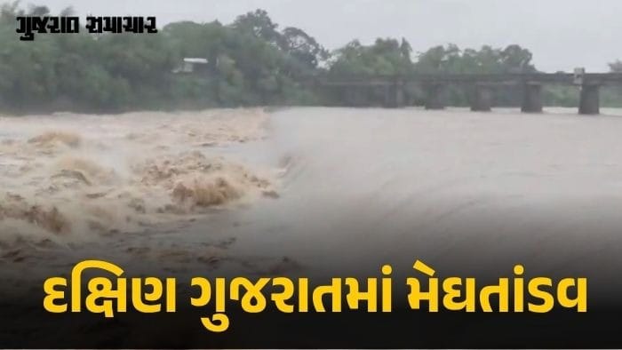 દક્ષિણ ગુજરાતમાં મેઘરાજાનું રૌદ્ર સ્વરૂપ; પૂર પ્રભાવિત અનેક લોકોનું રેસ્ક્યૂ