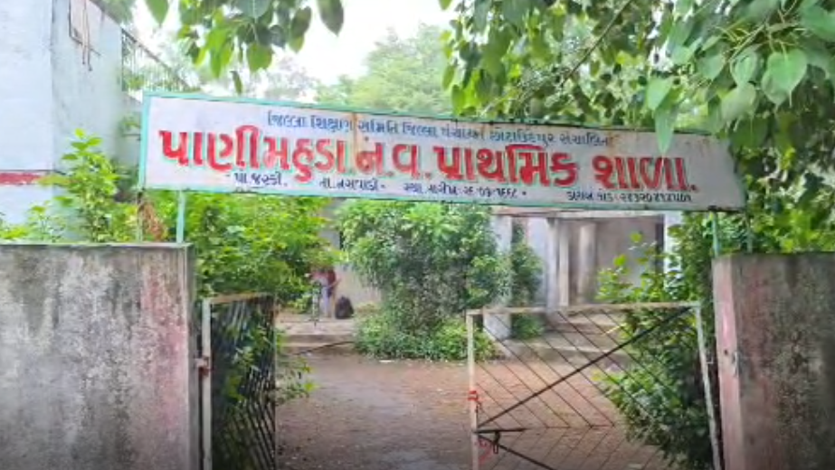 છોટા ઉદેપુર: નસવાડીમાં પાંચ વિદ્યાર્થીઓની સ્કૂલમાં બે શિક્ષકોની નિમણૂક, ઘટ વચ્ચે ફાળવણીમાં અસમાનતા