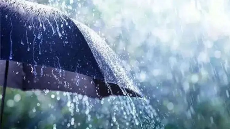 IMD Issues Wind Alert for Gujarat Coast; Fishermen Advised to Suspend Marine Operations