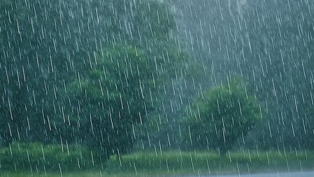 Heavy Rain Alert: Ahmedabad Closes All Lake Gardens for 2 Days, Cancels Jaya Parvati Vrat Night Events
