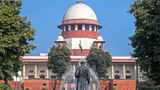 How Fake AI Research Just Blew up a Major Supreme Court Corporate Insolvency Case How Fake AI Research Just Blew up a Major Supreme Court Corporate Insolvency Case