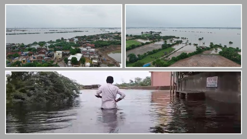 અમદાવાદ: બાવળાના સરલા, કાળીવેજી સહિતના ગામો બેટમાં ફેરવાયા, પશુપાલકો ભારે હાલાકીમાં