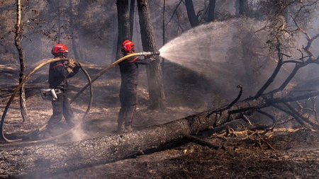 Southern Europe Wildfire Crisis: Crucial Safety Advisory for Indian Travellers Heading to Greece, Spain, France and Portugal