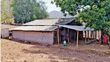 Chhotaudepur School Runs from Makeshift Hut as Tribal Children Await Permanent Classrooms Chhotaudepur School Runs from Makeshift Hut as Tribal Children Await Permanent Classrooms