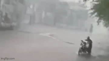 avl7iy.gif