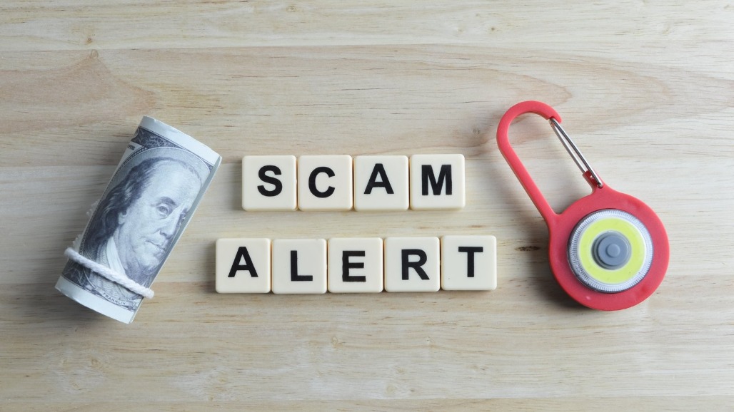 The SME Illusion: How Systemic Scams Lured ₹2,500 Crore of Public Wealth Into 'Zombie Stocks'
