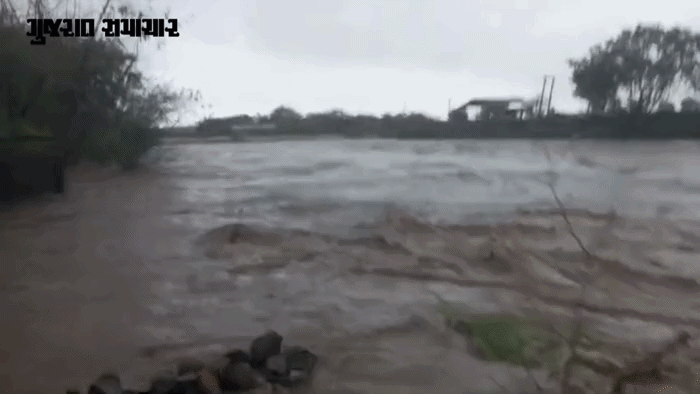 VIDEO| અમરેલીમાં જળબંબાકાર: રાજુલામાં ધોધમાર વરસાદ, નદીઓમાં ઘોડાપૂર, જાફરાબાદ-ખાંભામાં ડેમ ઓવરફ્લો