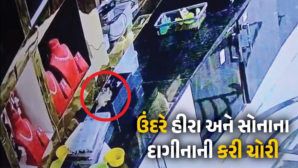 કર્ણાટકમાં ઉંદર 10 લાખના હીરા-સોનાના દાગીના ચોરી ગયો!
