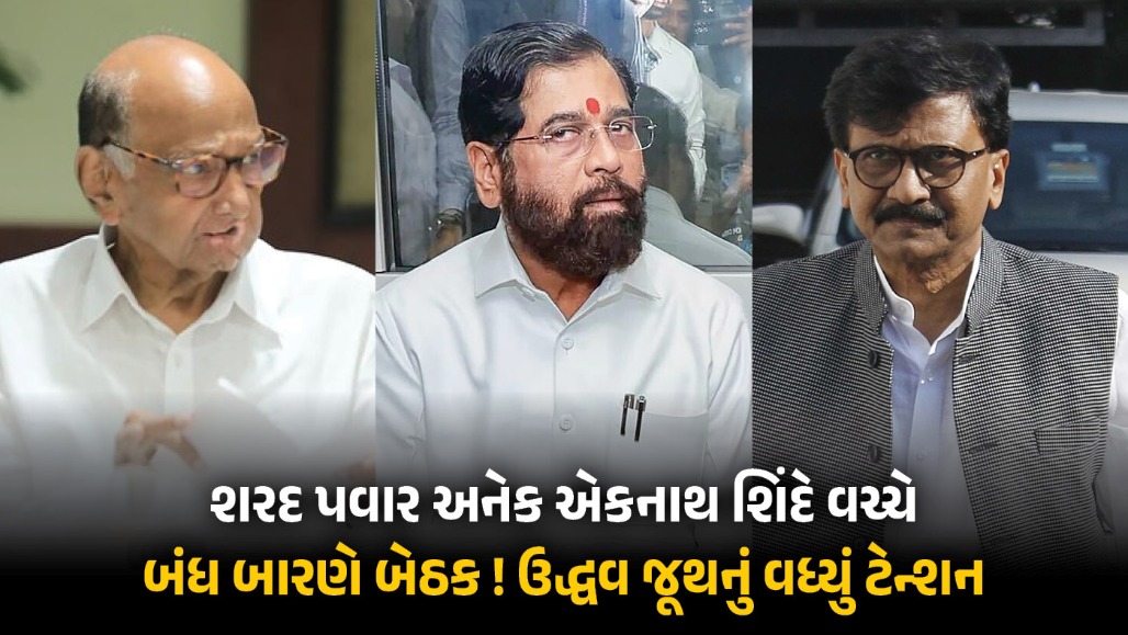 સંજય રાઉતને હવે શરદ પવાર પર પણ 'આશંકા', કહ્યું- ગદ્દાર નેતાઓને આટલી ઇજ્જત આપશો તો...