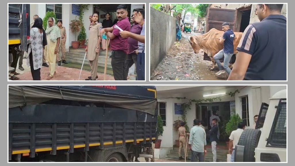 પંચમહાલ: કાલોલના કસ્બા વિસ્તારમાંથી ગૌવંશ કતલખાનું ઝડપાયું, મહિલાઓ સહિત 22 લોકોની ધરપકડ