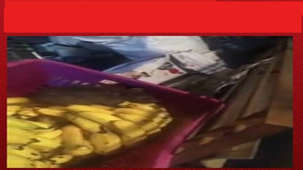 બોરીવલી પશ્ચિમમાં ફ્રૂટ શોપમાં ફળોના ટોપલા પર ફરતા ઉંદરો