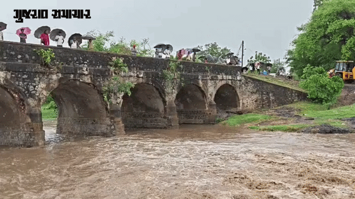 GujaratSamachar-2026-07-01T160933.797-ezgif.com-video-to-gif-converter.gif