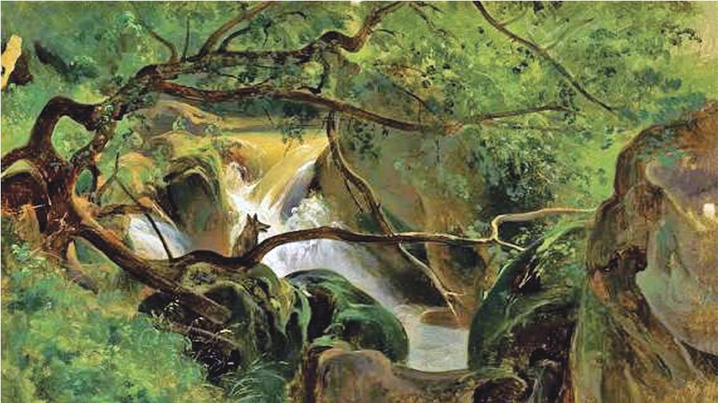 The Eyes and the Impossible: A Wild Adventure Through Nature