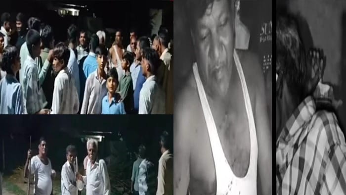 વડોદરા નજીક વાઘોડિયામાં માનવભક્ષી દીપડાનો આતંક