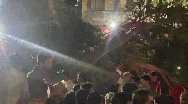 One Dead After Old Tree Collapses Outside BJP Office in Ahmedabad’s Khanpur