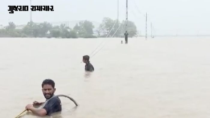 ખેડા: ભારે વરસાદથી 36 કલાકથી વીજ પુરવઠો ખોરવાયો, વીજ પોલ ધરાશાયી થતાં 910થી વધુ નાના-મોટા ઉદ્યોગો પ્રભાવિત
