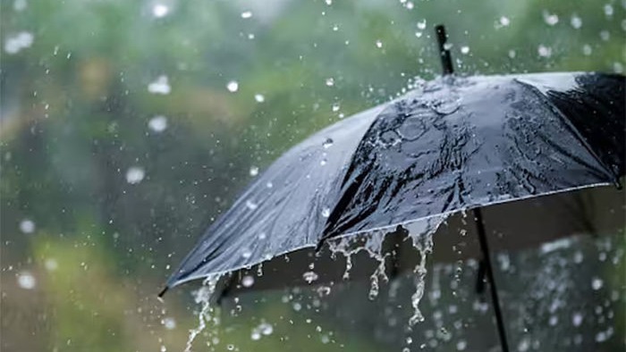 Torrential Downpours Lash South Gujarat: After 15.6 inches in Kaprada, Wednesday brings heavy rains in Valsad, Umbergaon and Pardi