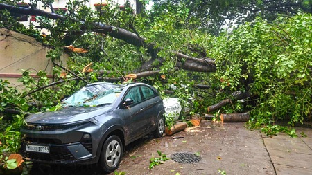 Mumbai Rains: Man Killed After Tree Falls on Him, Mayor Urges Residents to Stay Indoors Amid Red Alert